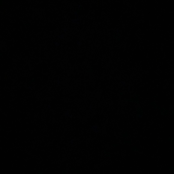 NWT.  BlueSky Clayworks, Day of the Dead cat figurine. - Picture 8 of 11